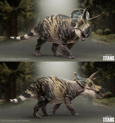 Eotriceratops xerinsularis荒漠始三角龙3D模型（OBJ,FBX,MAX）