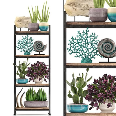 芦荟仙人掌等绿植盆景和工艺品装饰组合3D模型（OBJ,FBX,MAX）