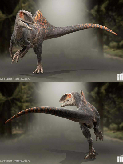 Concavenator corcovatus驼背龙3D模型（OBJ,FBX,MAX）