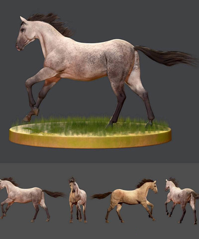 安达卢西亚马3D模型（OBJ,FBX,MAX）