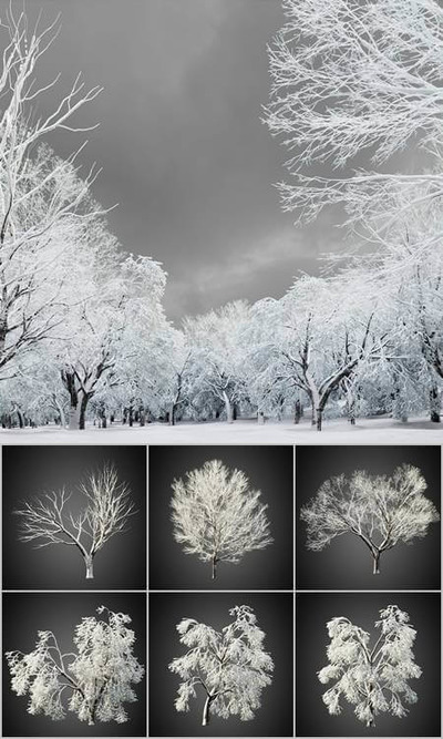10种雪地里的树3D模型合集（MAX）