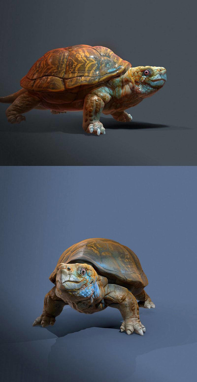 龟3D模型（OBJ,FBX,MAX）