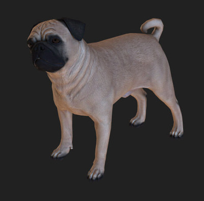 哈巴狗3D模型（FBX,MAX）