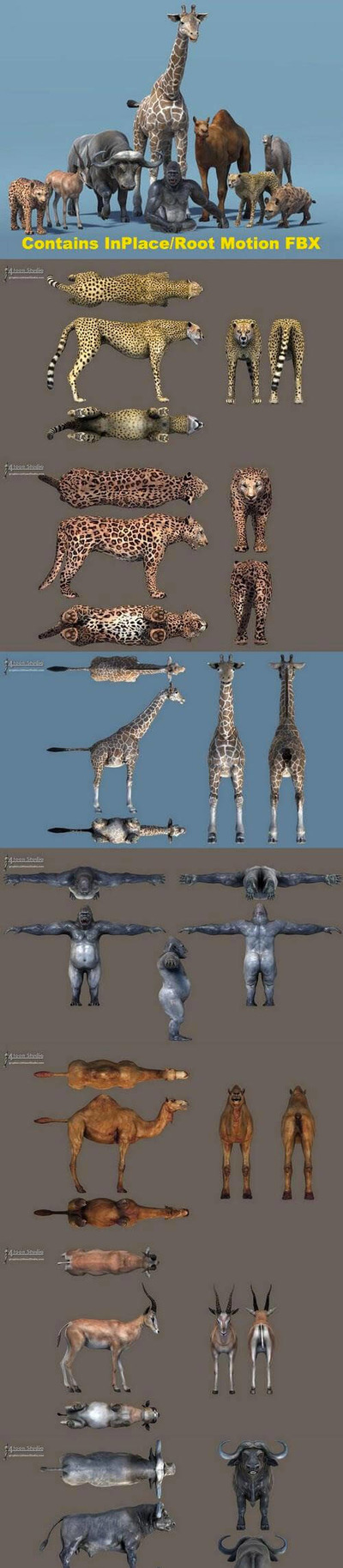 Unity3d常见非洲动物3D模型合集（unitypackage）