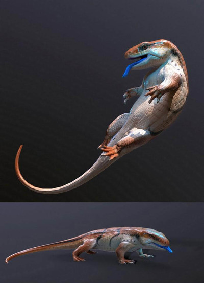 Blue Tongued Skink蓝舌石龙子3D模型（OBJ,FBX,MAX）