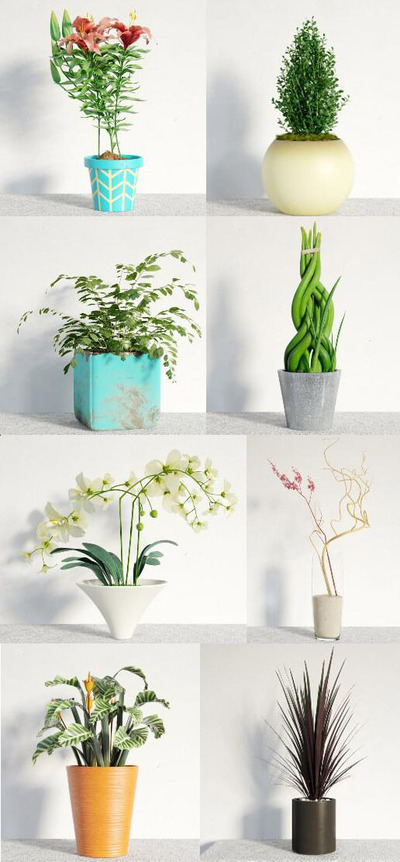 8种室内绿植盆景3D模型（MAX）