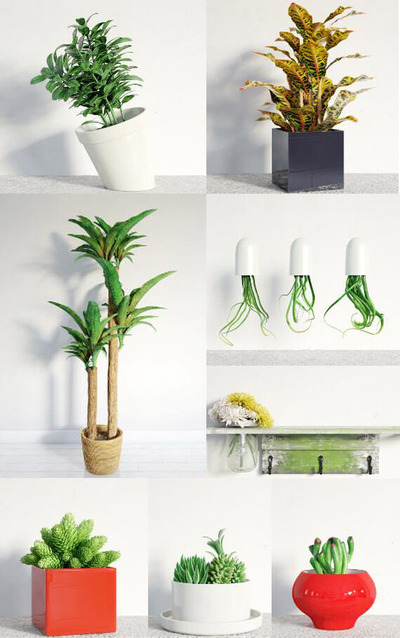 8种室内绿植盆景3D模型（MAX）