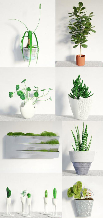 8种室内绿植盆景3D模型（MAX）