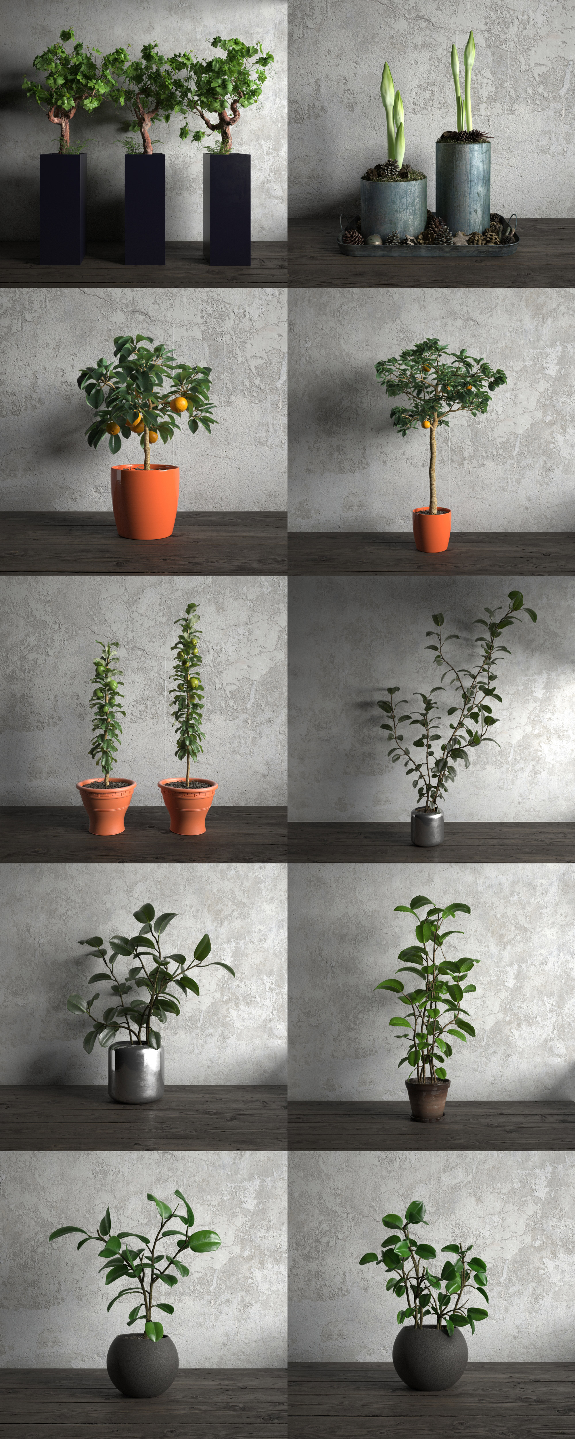 10种绿植盆景3D模型合集（MAX）