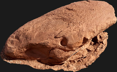 岩石3D模型（FBX）