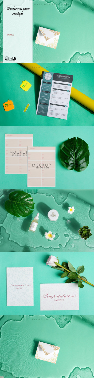 时尚品牌产品展示样机(PSD)