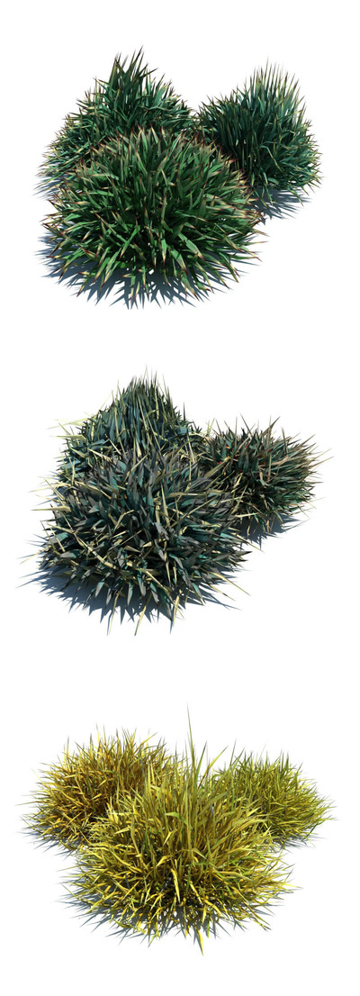 装饰草3D模型（OBJ,FBX,MAX）