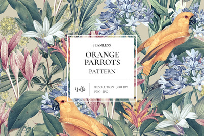 橘色鹦鹉绘画花卉图案背景 (JPG,PNG)