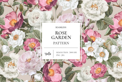 玫瑰花卉绘画背景图案 (JPG,PNG)