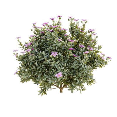 开紫色花朵的岩蔷薇灌木3D模型（OBJ,FBX,MAX）