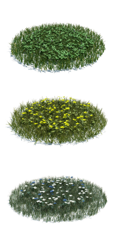 开花的草3D模型（OBJ,FBX,MAX）
