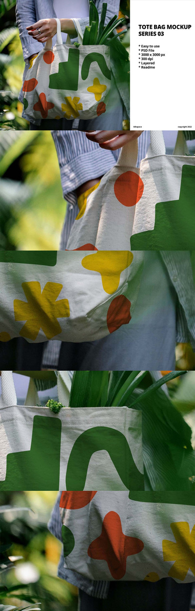 手提袋模型系列03样机 (PSD)