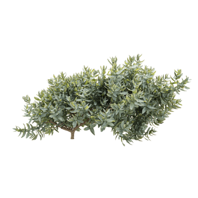 蔷薇灌木3D模型（OBJ,FBX,MAX）