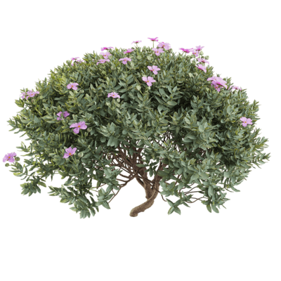 开满粉色花朵的蔷薇灌木3D模型（OBJ,FBX,MAX）