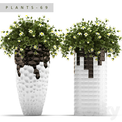 白色高花盆中开白色小花的绿植盆景3D模型（OBJ,FBX,MAX）