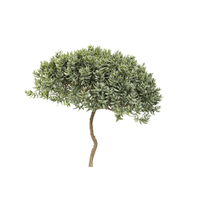 岩蔷薇树3D模型（OBJ,FBX,MAX）