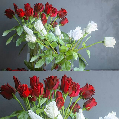 红色和白色仿真玫瑰花束3D模型（OBJ,FBX,MAX）