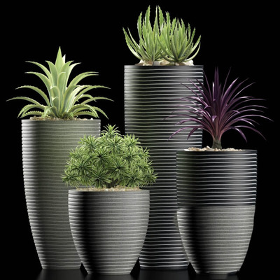 灰色横纹装饰高陶瓷花盆中的芦荟百合竹朱蕉等绿植盆景组合3D模型（OBJ,FBX,MAX）