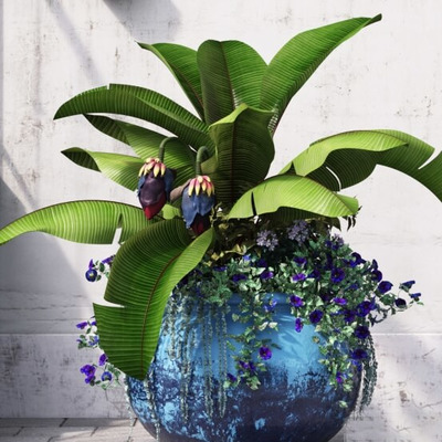 球形装饰花盆中开紫色花朵的热带象腿蕉植物盆景3D模型（OBJ,FBX,MAX）