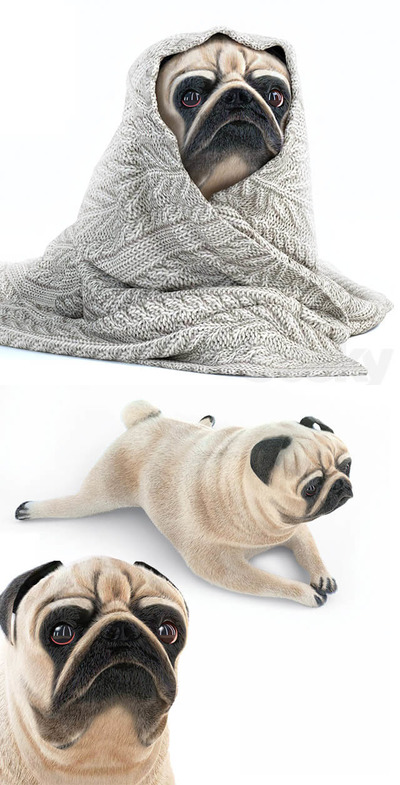 哈巴狗3D模型（MAX）