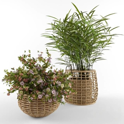 藤编装饰花盆中的开花香桃木和袖珍椰子植物盆景3D模型（OBJ,FBX,MAX）