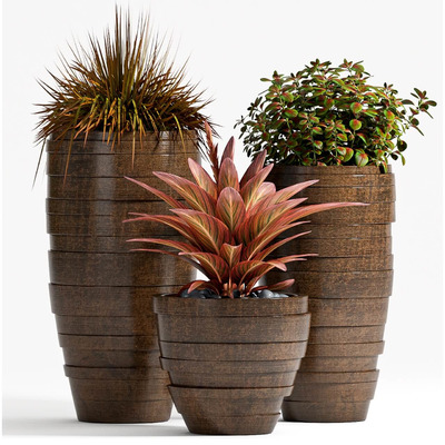 棕色装饰花盆中的橙色元素植物盆景组合3D模型（OBJ,FBX,MAX）