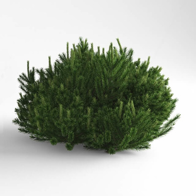 Mugus山松3D模型（OBJ,FBX,MAX）