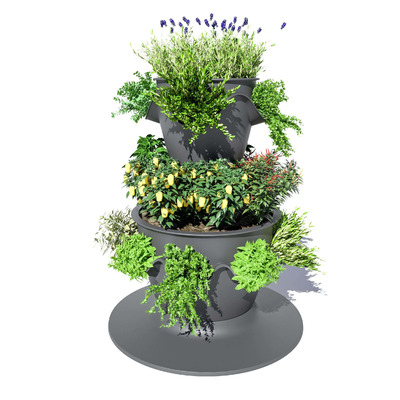 种植蔬菜和香菜的Lechuza智能灌溉系统3D模型（MAX）