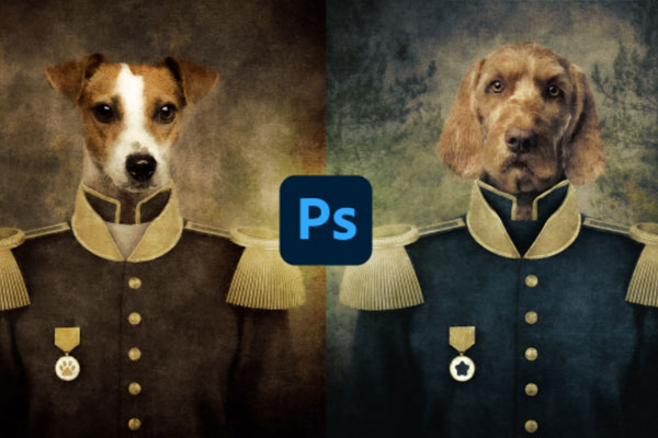 宠物肖像军服照片效果PS动作 (atn)