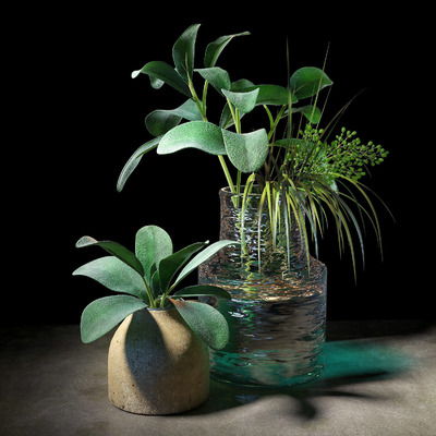 玻璃和混凝土花瓶中绵毛水苏绿色植物3D模型（OBJ,FBX,MAX）