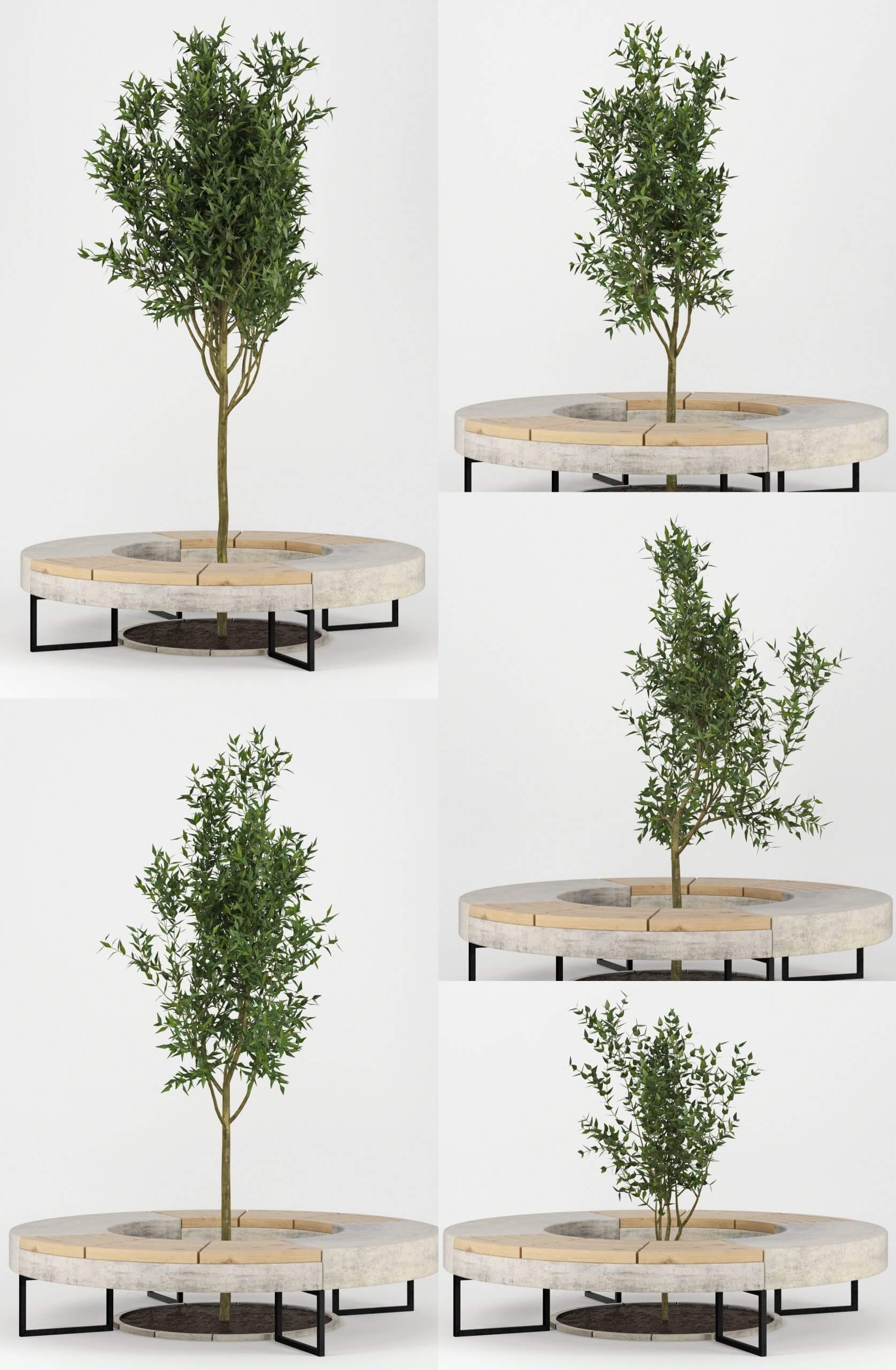 花坛中的树3D模型（OBJ,MAX）