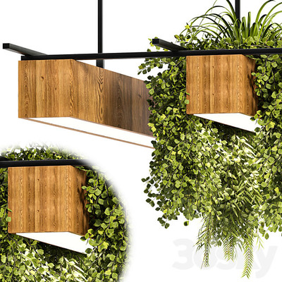 家用花盆植物吊灯3D模型（OBJ,MAX）