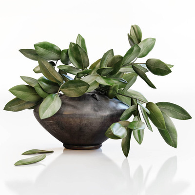 黑色陶罐中的绿叶树枝3D模型（OBJ,FBX,MAX）