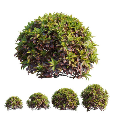 4种形态的巴豆植物灌木丛3D模型（OBJ,FBX,MAX）