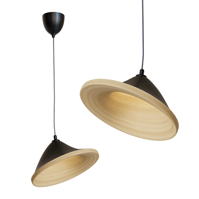 Montly DAC木质外壳吊灯3D模型（OBJ,FBX,MAX）