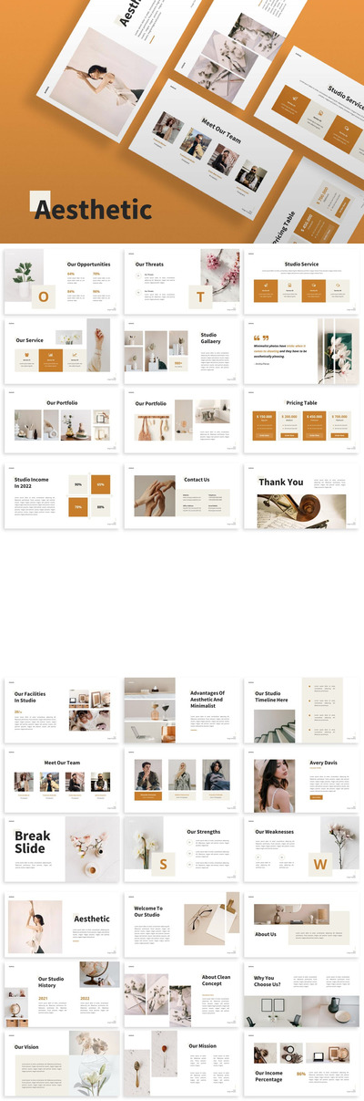 精美的项目展示PPT模版 (PPTX)