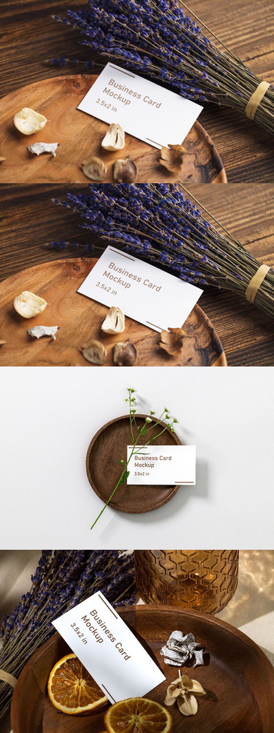 干枯元素场景名片展示样机模板 (PSD)