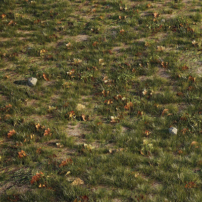 有落叶和石头的草地草坪3D模型（OBJ,MAX）