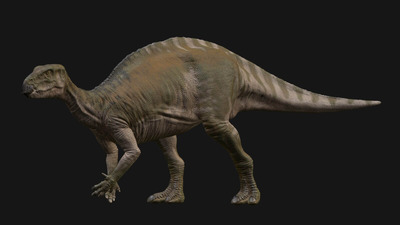 Fukuisaurus福井龙恐龙3D模型（OBJ,FBX,MAX）
