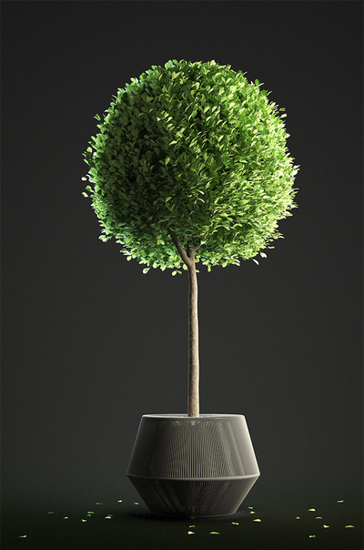 修剪成球形的黄杨木绿植盆景3D模型（OBJ,MAX）