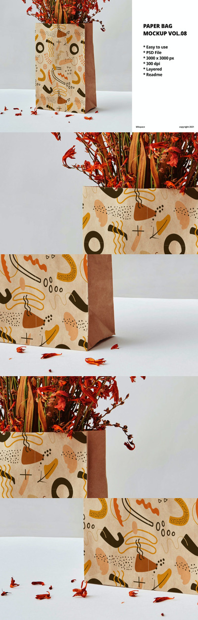 牛皮纸袋外观设计样机模板 (PSD)