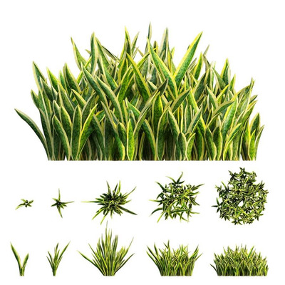 5种形态的虎尾兰植物3D模型（OBJ,MAX）