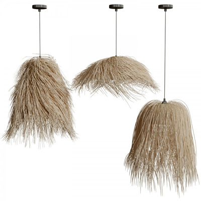 摩洛哥柳枝灯罩吊灯3D模型（FBX,MAX）