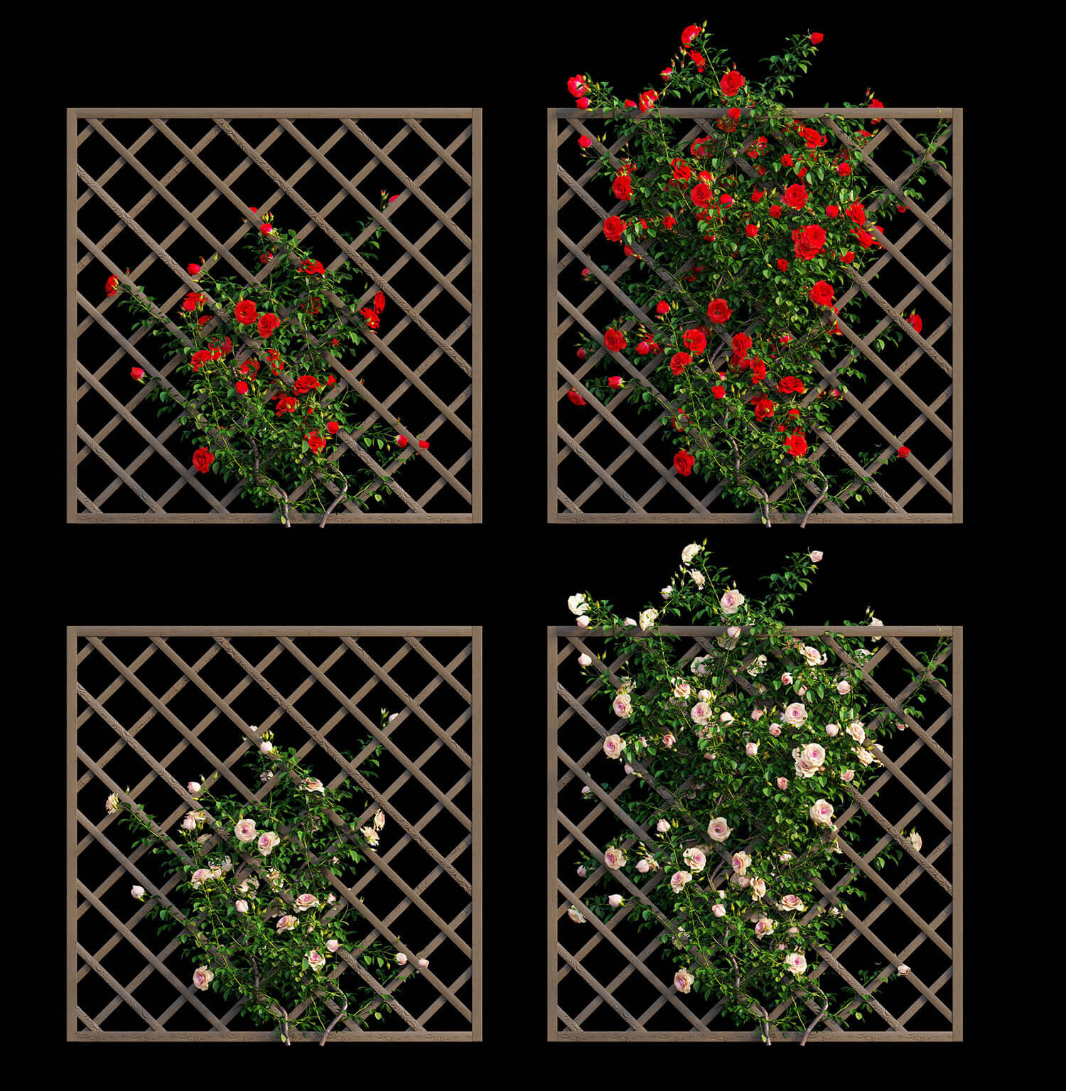 木架上的玫瑰花丛3D模型（OBJ,FBX,MAX）