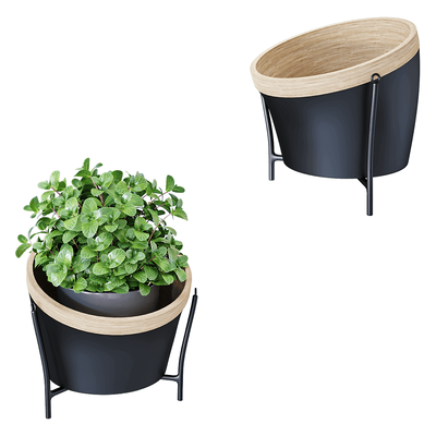 Montly装饰花盆3D模型（OBJ,FBX,MAX）